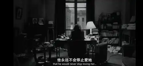 杜拉斯情人满是欲念