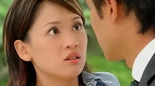 如果蒋雯丽和明道演出一种被克制和保护的兄弟关系就更好了
