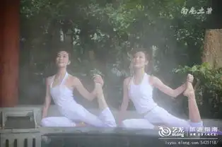 天冷了,看看瑜伽双胞胎美女如何过冬