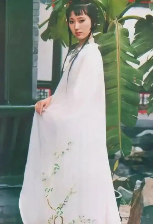 郑晓龙要拍剧版红楼梦甄嬛传后二搭流潋紫,网友呼吁换编剧
