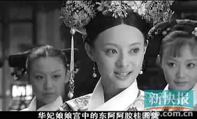 普陀新闻网