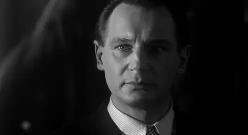 在史蒂文斯皮尔伯格的作品中,辛德勒的名单的剧作表现处于什么水平