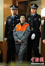 故宫大盗石柏魁被判有期徒刑13年