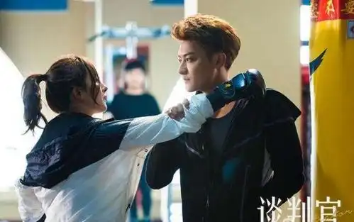 谈判官蔡天澜是谁他知道什么