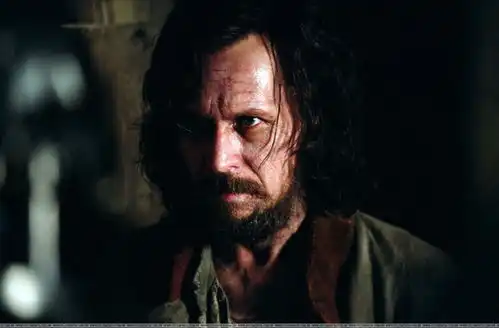 长得好看就任性盘点哈利波特中那些毁容的巫师们