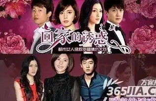 回家的欲望全集回家的诱惑下部全集电视剧回家的欲望全集在线观看下载地址
