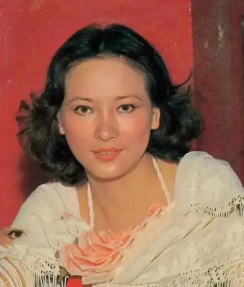 演员徐枫,霸王别姬制片人,嫁给债主汤臣集团创始人