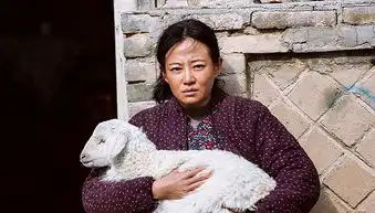 清明档期头号玩家赢者通吃独立电影夹缝求生