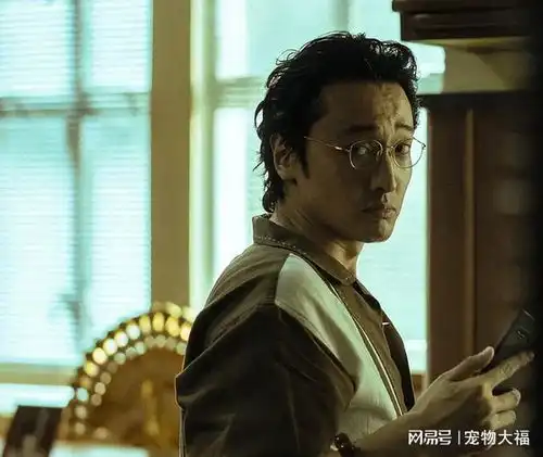 孤注一掷3天9.6亿为何这么火
