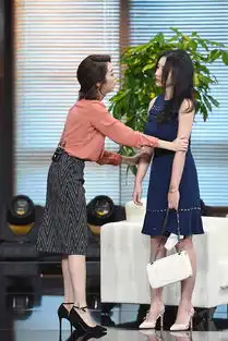 柳岩演员的诞生pk胡冰卿回家的诱惑崩溃复仇
