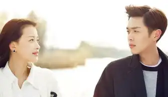 十五年等待候鸟剧照