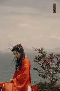 诗眼倦天涯
