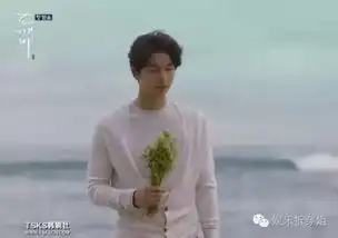 孤单又灿烂的神鬼怪,温暖了被蓝色大海凉透的心