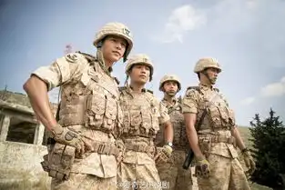 太阳的后裔剧照
