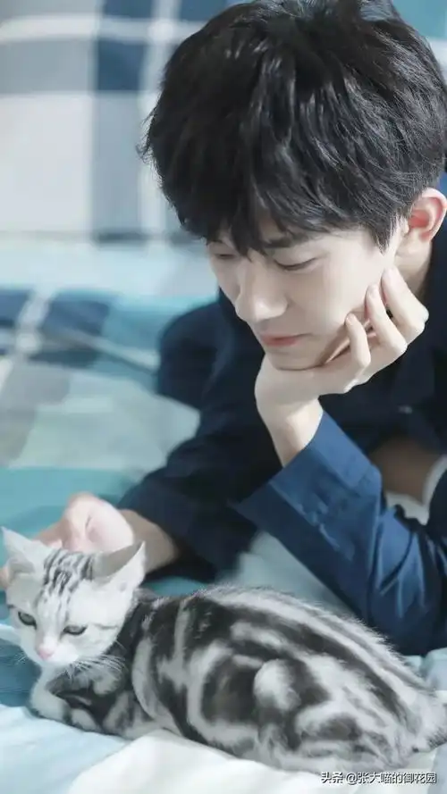 陆毅花30万给女儿买豹猫网友们震惊了豹猫人家是正经宠物