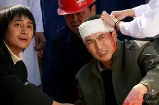 下海历经职场之虐张嘉译渴求问心无愧致富
