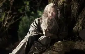 霍比特人发布第一张剧照甘道夫再度现身
