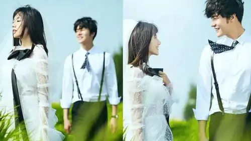 你喜欢的样子我都没有
