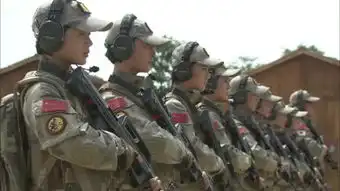 我是特种兵3之火凤凰
