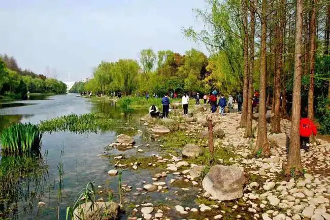 争创公园城市示范区,杨浦将打造一座像自家花园一样的滨江公园