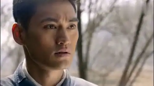 平凡的世界,少安路上追润叶这段,音乐配的真好,催人泪下