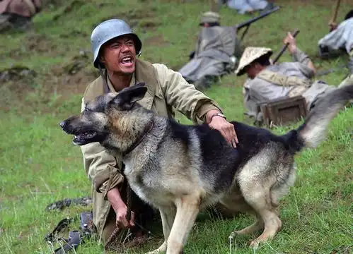 团长盘点南天门战役突击队人员配备及装备
