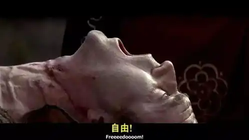 养雕专家与养蜂专家这是西方读者眼中的杨过和小龙女
