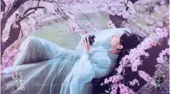 三生三世十里桃花,抄袭为什么得不到遏制
