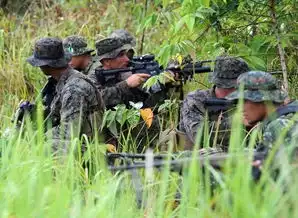 美国特种兵转行做国际职业杀手被通缉追捕