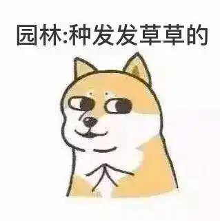 最全华科表情包来袭
