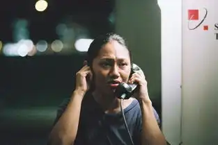 北京国际电影节
