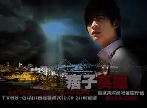 痞子英雄一共多少集