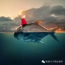 兰卡特产宝石vol.2