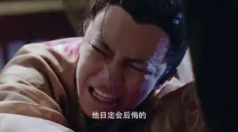 大唐荣耀李俶剧照
