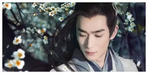 秦始皇一共有20多个儿子,但仅有一个勉强还行,但不是公子扶苏