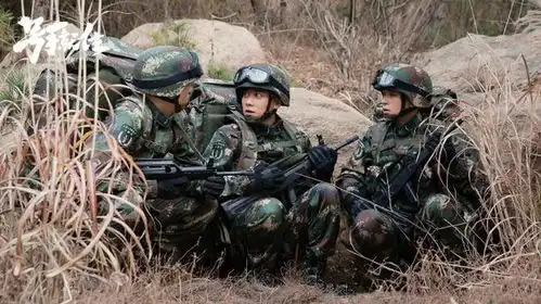 军旅剧进入过家家时代,想给刘猛和我是特种兵说声对不起