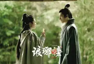 琅琊榜,史上最尊重原著的电视剧