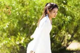 楚乔传宫中十二人杰与楚乔什么关系组图