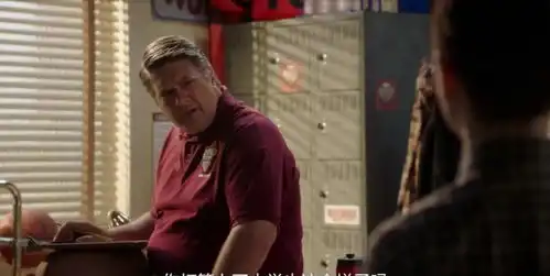 9.4分毒舌神童再出击,生活大爆炸粉表示再来100季