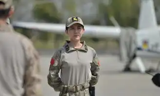 我是特种兵之火凤凰剧照
