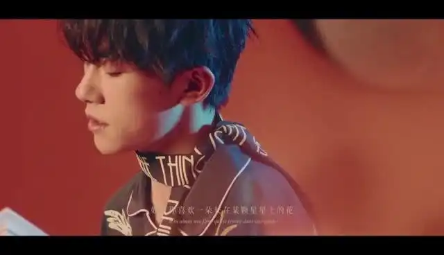 野兽派的小王子