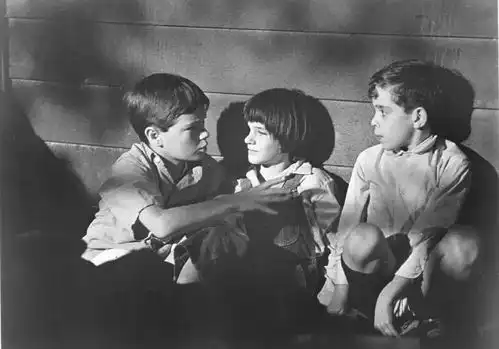 如果你初为父母,如果你对教育迷茫,细细品读杀死一只知更鸟