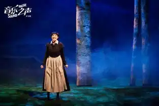 音乐剧音乐之声中文版门票音乐剧音乐之声中文版音乐剧音乐之声中文版订票
