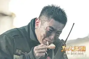 如何评价电影烈火英雄
