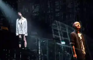 黄磊眼中的茶馆,黄磊心中的乌镇
