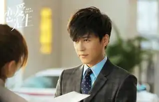 恋爱先生套用老版玛丽苏,靳东搭档江疏影坐镇能火吗