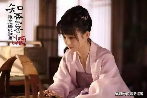 儿媳攻略我借花献佛,用几顿汤就搞定了婆婆,完美