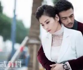 我们都要好好的寻找和向前分开后结局怎样了他们最后会复婚吗
