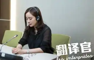 翻译官程家阳与高家明是亲兄弟吗杨幂黄轩时尚剧照高清一览
