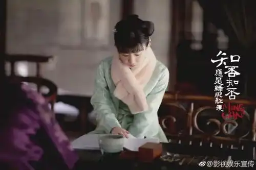 知否知否应是绿肥红瘦宣传剧照颖宝的小家碧玉妆容
